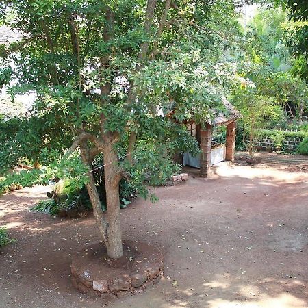 Cancio'S House Aldona Exterior photo